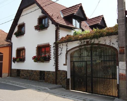 Rau Sadului Maison | Casa de vacanta Vidrighin