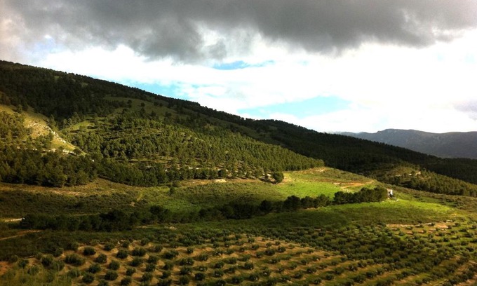 Jaen Maison | Casa Dehesa San Cristóbal, Jaén