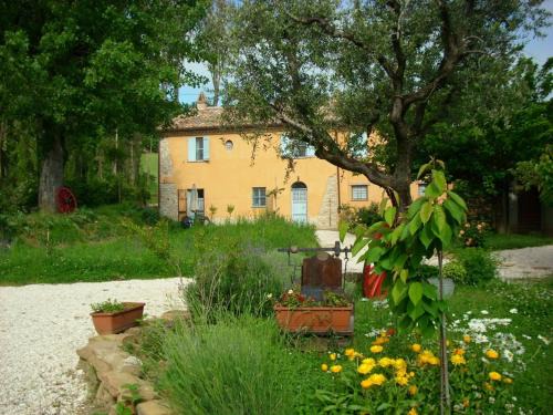 San Lorenzo in Campo Appartement | Casa dei ciliegi