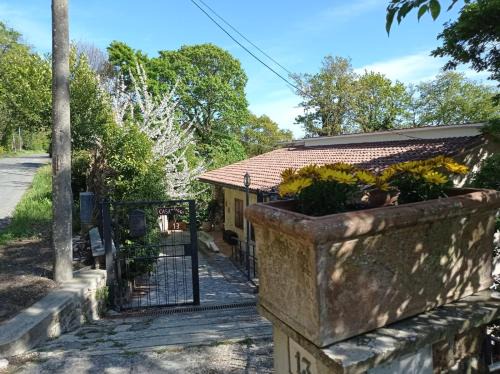 Tolfa Appartement | Casa dei Faggi