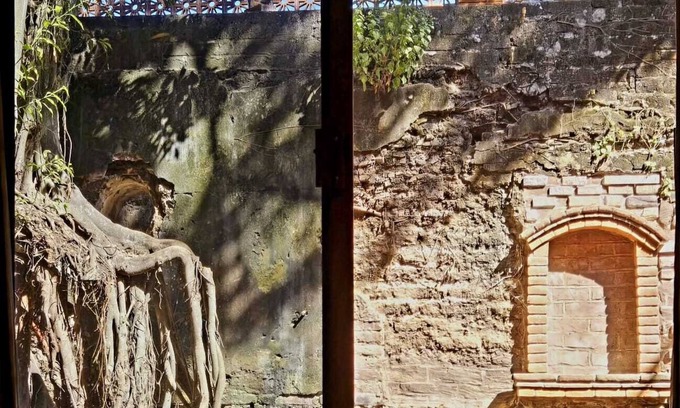 Sin Nombre Loc. San Blas Hôtel | Casa del Arbol