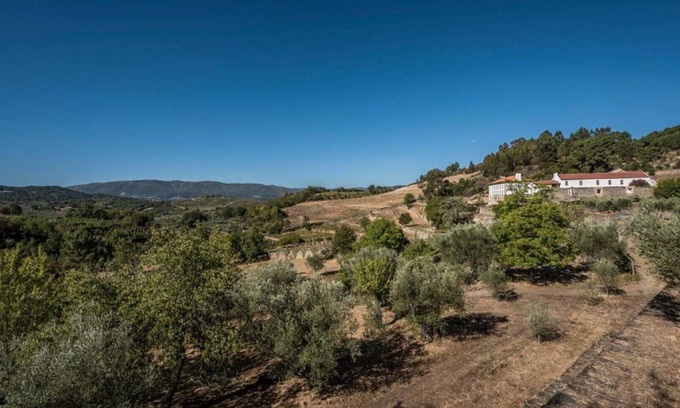 Cimbres Maison | Casa do Olival One-Bedroom Studio