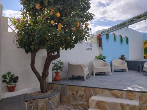 Reguengos de Monsaraz Appartement | Casa do Pão