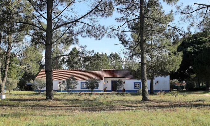 Alcacer do Sal Maison | Casa do Pinheiro