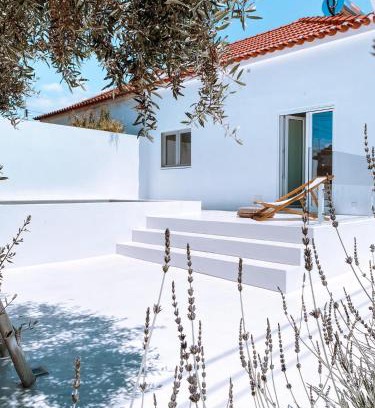 Alcacer do Sal Maison | Casa do Povo (casa com piscina no centro de Alcácer)