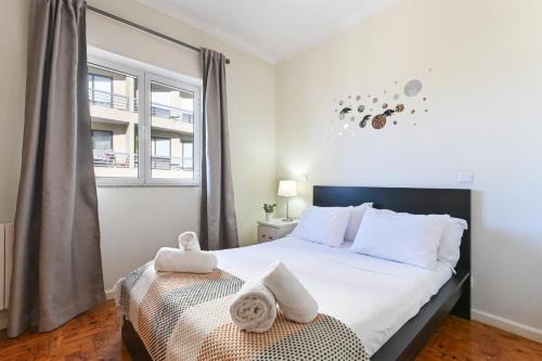 Braga Appartement | Casa do Raio II by Sé Apartamentos