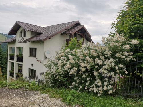 Vatra Dornei Maison | Casa Doina