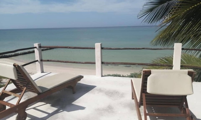 Chelem Maison | Casa Don2 Summary: FI