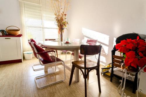 Pilas Maison | CASA ENCANTADORA VTAR/SE/180