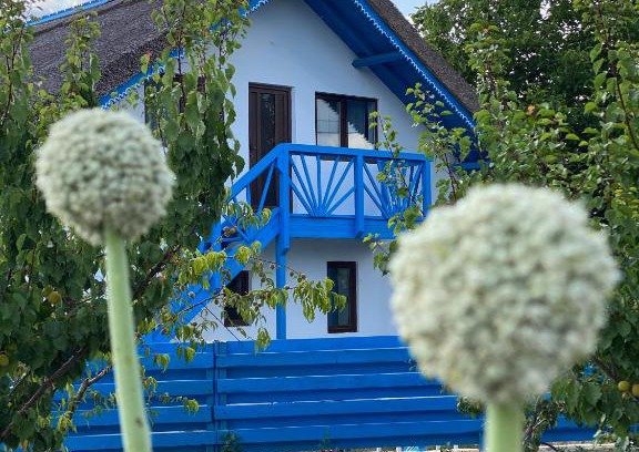 Enisala Maison | Casa Enisala