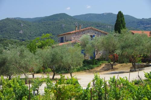Sartene Appartement | Casa Erbaggio