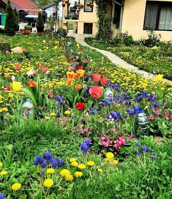 Curtea De Arges Appartement | Casa Florilor