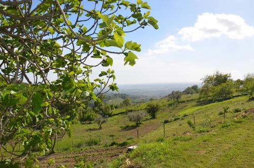 Poggio Mirteto Maison | Casa Franceschini