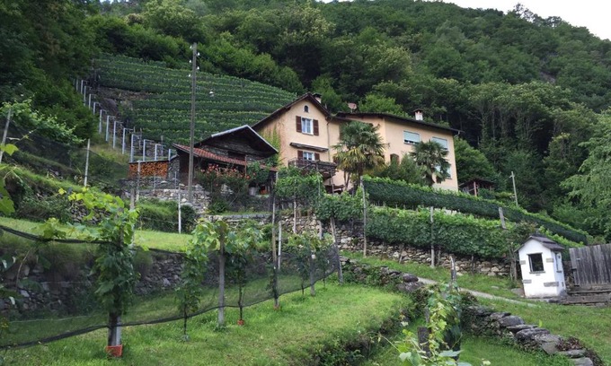 Roveredo Appartement | Casa immersa nel vigneto