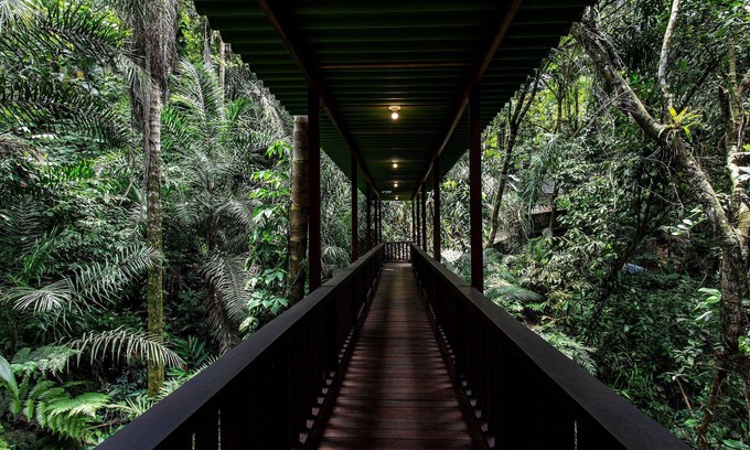 Cidade Jardim Tom Appartement | Casa Iporanga