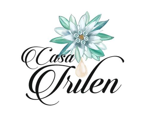 Manastirea Humorului Maison | Casa Irilen
