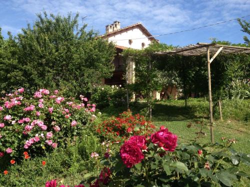 Vaglio Serra Maison | Casa Isabella
