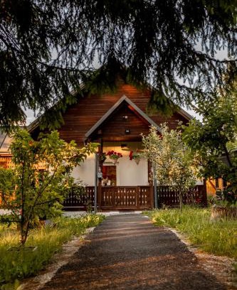 Jibert Maison | Casa Izvoru Mureșului
