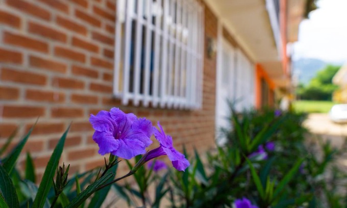 Darien Appartement | Casa las ruelias