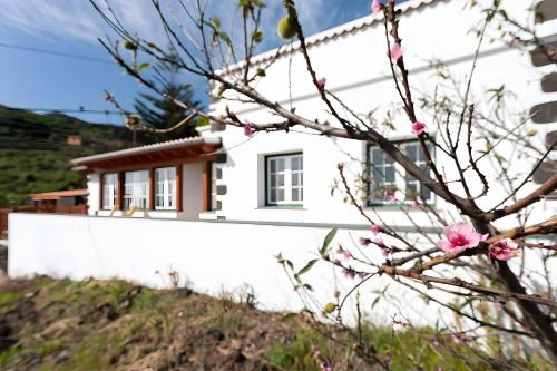 Villa de Mazo Maison | Casa Los Duraznos