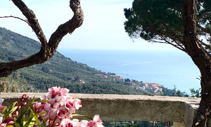 Lerici Maison | Casa Møjn