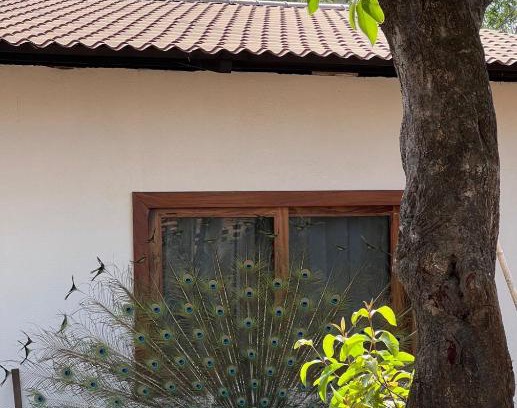 Cuautepec Autre | Casa Magdalena