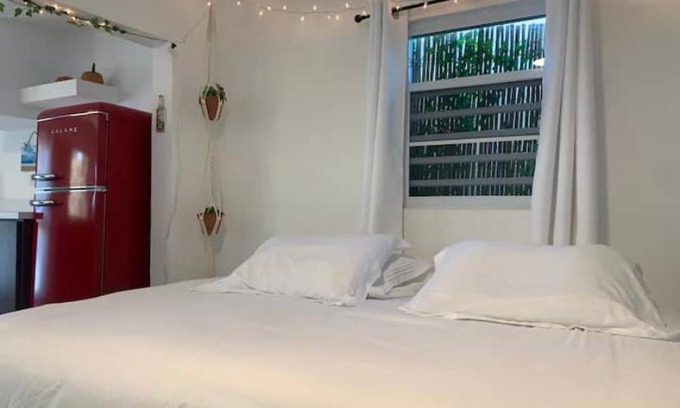 Islote Maison | Casa mango