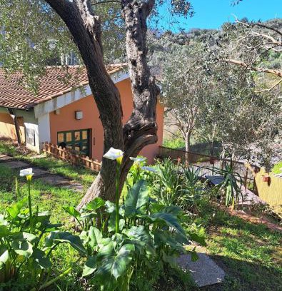 Celle Ligure Maison | Casa Mar'Cellina - Tenuta Calano
