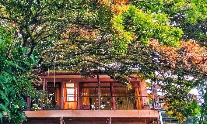 Sierra Maison | Casa Mariposa Cottage situé dans une ferme de café