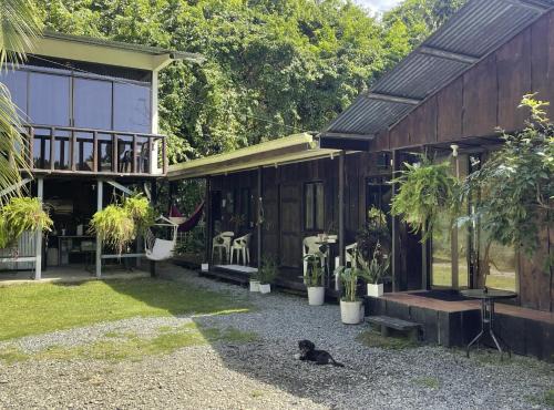 Uvita Cabine | Casa Morpho Uvita Guesthouse