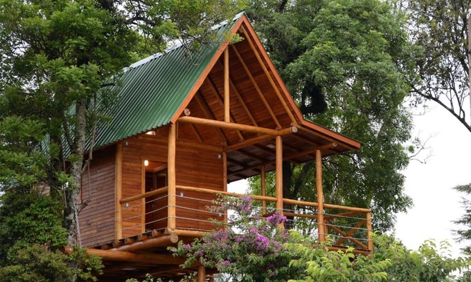 Joao Alves Maison | Casa na Árvore