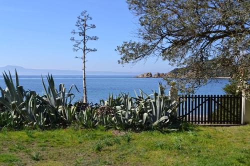 Aristotelis Maison | Casa Natura