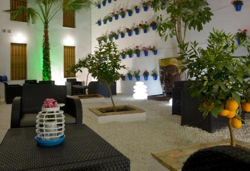 Santiago Appartement | CASA PATIO LAS PALMERAs 5 y 6