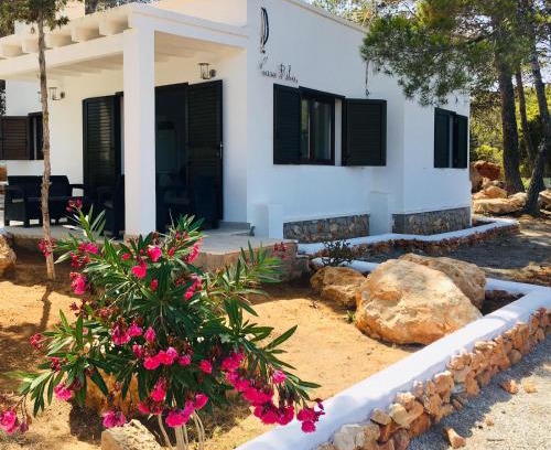 Es Figueral Beach Appartement | CASA RIBAS