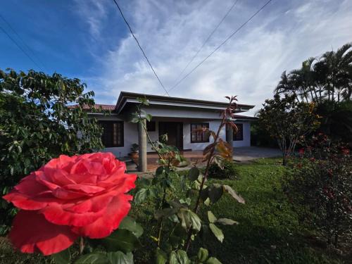Bolivar Maison | Casa Rosabella