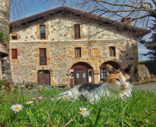 Eskoriatza Maison | Casa Rural Areano