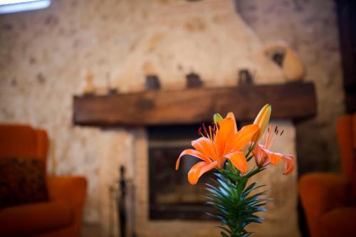 Belmonte Maison | Casa Rural Casona la Beltraneja