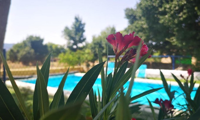 Yecla Maison | Casa Rural El Llano Quintanilla