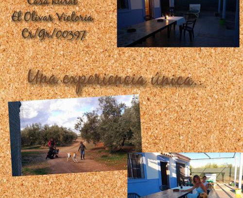 Cuevas del Campo Maison | Casa Rural El Olivar Victoria