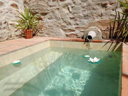 El Pedroso Maison | Casa Rural El Palomar
