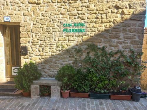 Ujue Maison | Casa Rural Pilarraña