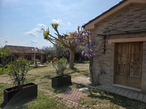 Sant'Elpidio a Mare Appartement | Casa Sabbatini