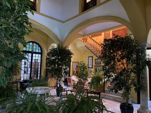 Palma del Rio Maison | Casa San José