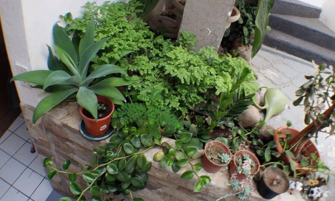 San Bosco Maison | Casa San Juan- Apt deluxe muy acogedor, centrico !