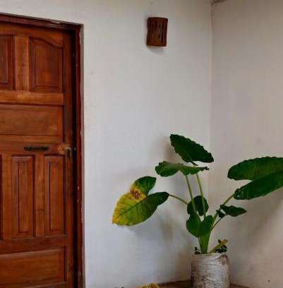 El Gigante Maison | Casa Sirenas
