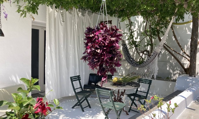 Procida Maison | Casa sul Mare con Giardino Sulla Suggestiva Punta Solchiaro