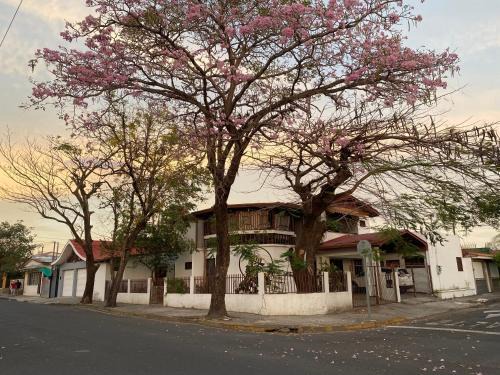 Liberia Hôtel | Casa Todah B&B
