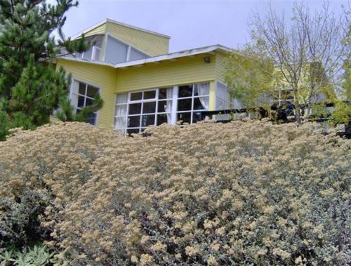 Mirasol Maison | Casa Tunquén