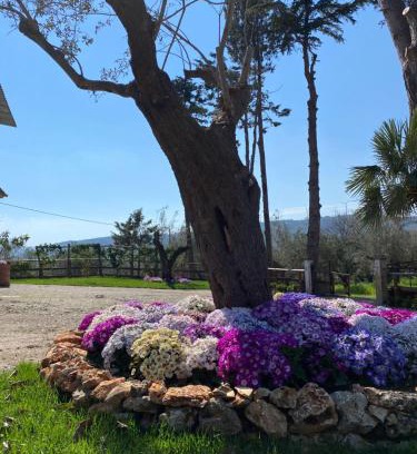 Albanella Maison | Casa Vacanza Capozzoli