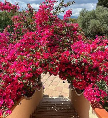 Iglesias Appartement | Casa Vacanze La Brii
